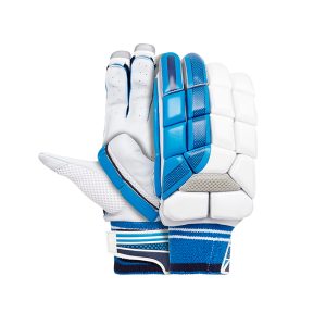 Cricket Gloves